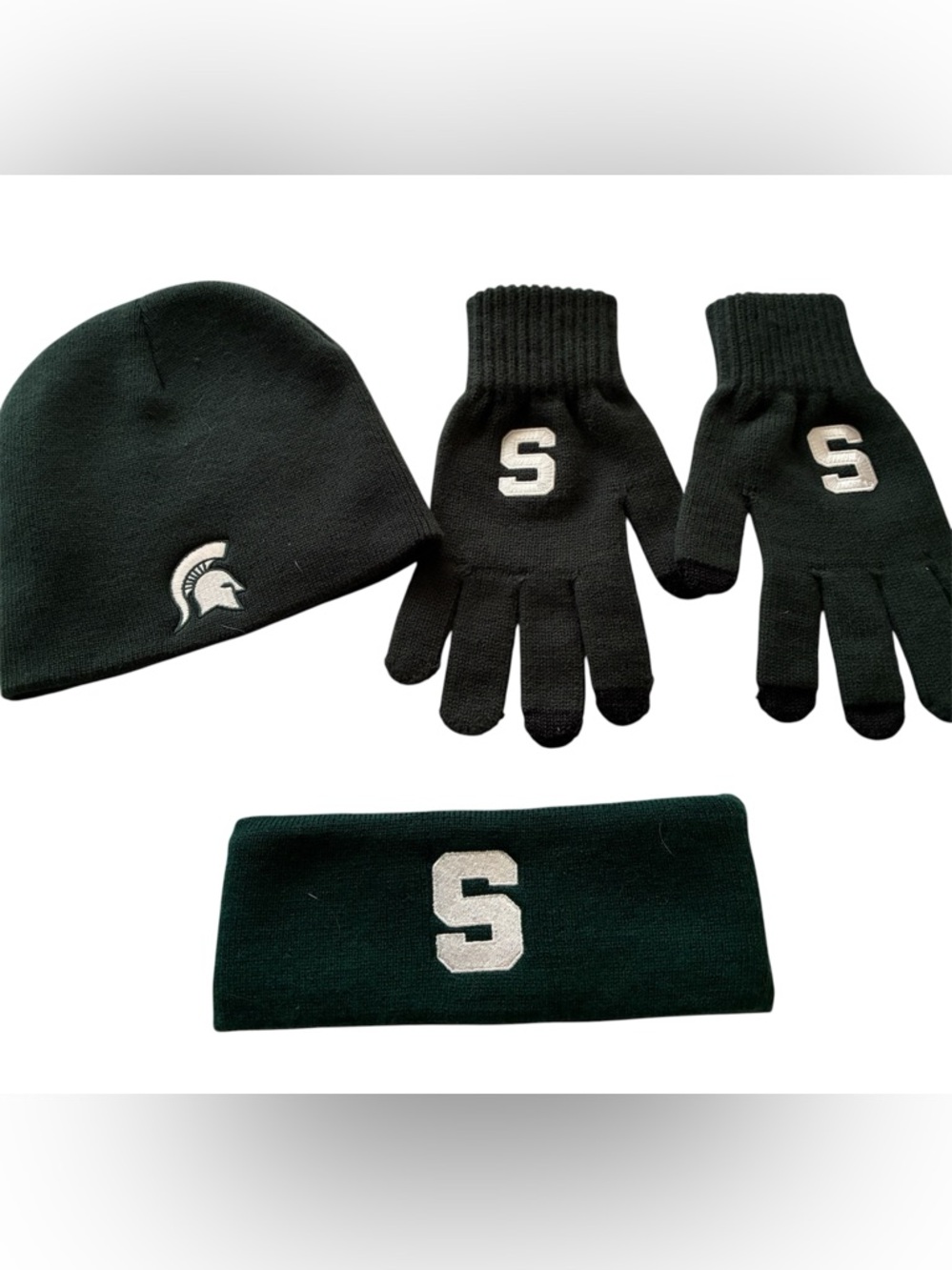 Michigan State Campus wear.